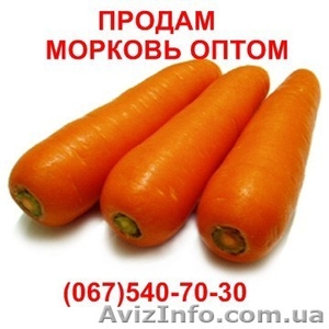 Продам морковку,  морковь оптом 