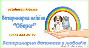 Ветеринарная клиника Оберег - <ro>Изображение</ro><ru>Изображение</ru> #1, <ru>Объявление</ru> #422341