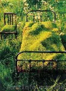 ландшафтный дизайн от Патоля : зеленые кровли и газоны  - <ro>Изображение</ro><ru>Изображение</ru> #3, <ru>Объявление</ru> #451136