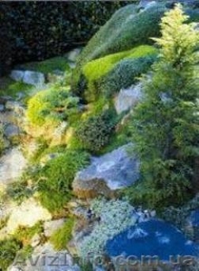 Предлагаем настенные пленочные обогреватели в ассортименте