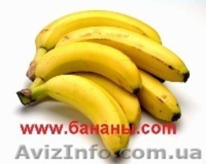 Бананы оптовая торговля - <ro>Изображение</ro><ru>Изображение</ru> #1, <ru>Объявление</ru> #480954
