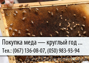 Покупка меда по Украине 
