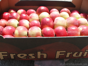 Предлагаем яблоки с Польши!