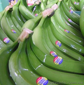 продадим бананы - <ro>Изображение</ro><ru>Изображение</ru> #2, <ru>Объявление</ru> #461554