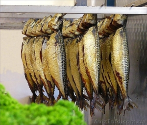 Рыба, рыба оптом, мороженая рыба, вяленая рыба, копченая рыба. - <ro>Изображение</ro><ru>Изображение</ru> #1, <ru>Объявление</ru> #469150