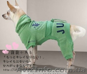 Одежда для собак по очень хорошим ценам - <ro>Изображение</ro><ru>Изображение</ru> #3, <ru>Объявление</ru> #462858
