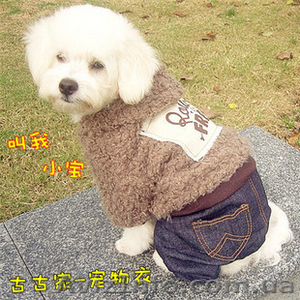 Одежда для собак по очень хорошим ценам - <ro>Изображение</ro><ru>Изображение</ru> #6, <ru>Объявление</ru> #462858