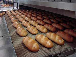 Изготовление (производство, продажа) конвейерных лент для хлебопекарен - <ro>Изображение</ro><ru>Изображение</ru> #1, <ru>Объявление</ru> #497663