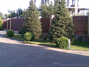  садовник, ландшафтный дизайн, озеленение - <ro>Изображение</ro><ru>Изображение</ru> #1, <ru>Объявление</ru> #523724