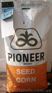 Семена кукурузы Пионер - <ro>Изображение</ro><ru>Изображение</ru> #1, <ru>Объявление</ru> #541557