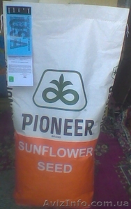 Семена подсолнечника Пионер ExpressSun - <ro>Изображение</ro><ru>Изображение</ru> #1, <ru>Объявление</ru> #571198