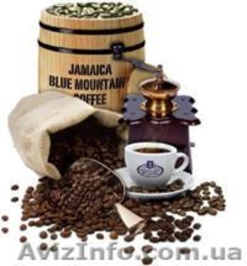 Элитный кофе Ямайка Блю Маунтин - <ro>Изображение</ro><ru>Изображение</ru> #1, <ru>Объявление</ru> #579519