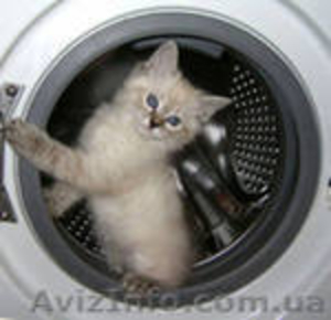 Ремонт стиральных машин и бойлеров 