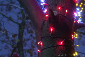украшение деревьев фасада,новогодняя иллюминация,световое оформление  - <ro>Изображение</ro><ru>Изображение</ru> #5, <ru>Объявление</ru> #712207