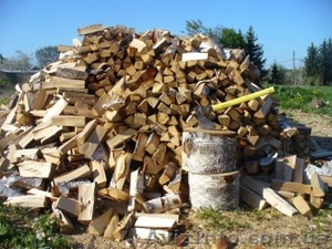 Куплю дрова цены продам дрова колотые Киев; купить дрова - <ro>Изображение</ro><ru>Изображение</ru> #1, <ru>Объявление</ru> #772607