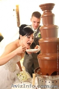 Шоколадный фонтан на свадьбу - <ro>Изображение</ro><ru>Изображение</ru> #1, <ru>Объявление</ru> #782408