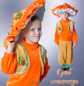 Карнавальные костюмы на прокат от Инфанты-Карнавал к празднику Осени! - <ro>Изображение</ro><ru>Изображение</ru> #5, <ru>Объявление</ru> #771453