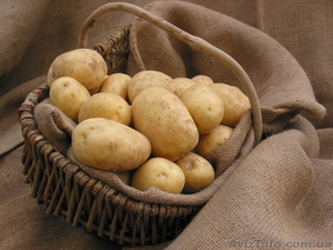 Продаж насіневої картоплі - <ro>Изображение</ro><ru>Изображение</ru> #1, <ru>Объявление</ru> #769083