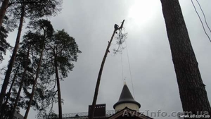 Удаление деревьев в Киевской обл(063)2372737 - <ro>Изображение</ro><ru>Изображение</ru> #1, <ru>Объявление</ru> #189441