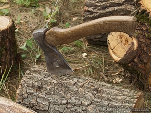 Продам дрова дуб, ольха, береза, граб, сосна резанные, колотые - <ro>Изображение</ro><ru>Изображение</ru> #1, <ru>Объявление</ru> #790936
