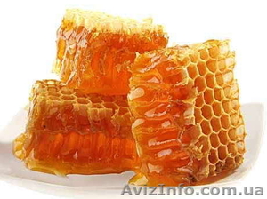 Большой выбор меда и продуктов пчеловодства оптом и в розницу - <ro>Изображение</ro><ru>Изображение</ru> #1, <ru>Объявление</ru> #839700