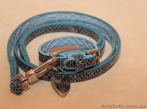 Элитные аксессуары для кошек и собак