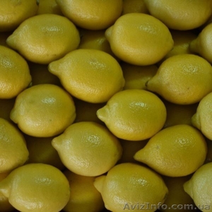 Лимон "Primofiori" из Испании - <ro>Изображение</ro><ru>Изображение</ru> #1, <ru>Объявление</ru> #845263