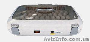 Продам корейский автоматический инкубатор R-Com 50 