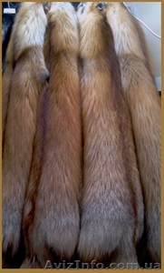 Продам шкуры лисы чиченой