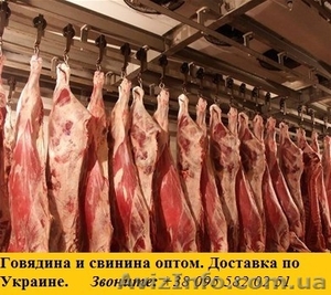 Мясо свинина и говядина оптом - <ro>Изображение</ro><ru>Изображение</ru> #1, <ru>Объявление</ru> #862159