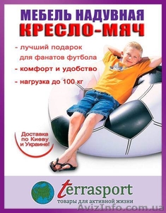 Надувное кресло-мяч  - <ro>Изображение</ro><ru>Изображение</ru> #1, <ru>Объявление</ru> #800548