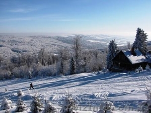 ПРОДАЕТСЯ 2 ГА ЗЕМЛИ СХОДНИЦА