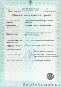 Лицензия на трудоустройство за границей - <ro>Изображение</ro><ru>Изображение</ru> #2, <ru>Объявление</ru> #890420