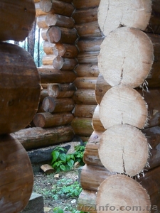 Проектирование и строительство деревянных домов, бань - <ro>Изображение</ro><ru>Изображение</ru> #1, <ru>Объявление</ru> #884321