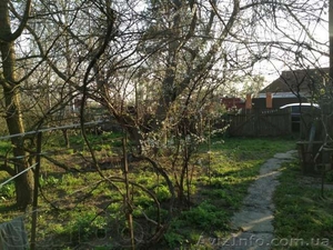 Продам дом с большим садом и огородом - <ro>Изображение</ro><ru>Изображение</ru> #3, <ru>Объявление</ru> #921795