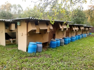 Экологические мини-фермы для выращивания кроликов