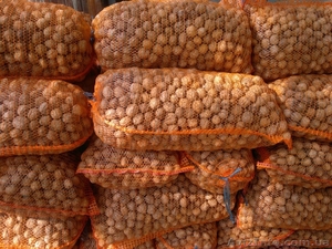 Грецкий орех оптом Украина