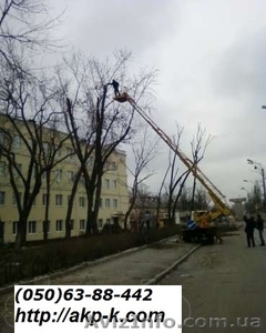 Удаление деревьев Киев, 0506388442 уборка участков и территорий. - <ro>Изображение</ro><ru>Изображение</ru> #1, <ru>Объявление</ru> #947125