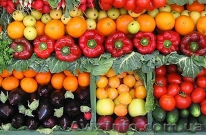 Доставка овощей, фруктов, зелени - <ro>Изображение</ro><ru>Изображение</ru> #1, <ru>Объявление</ru> #952363