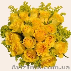Розы. розы с доставкой киев. недорогие розы. заказать розы. где купить розы недо - <ro>Изображение</ro><ru>Изображение</ru> #2, <ru>Объявление</ru> #965247