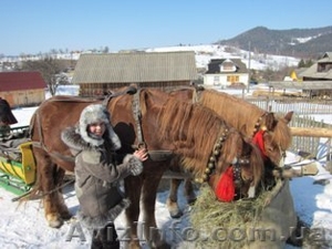 Новогодние тури - <ro>Изображение</ro><ru>Изображение</ru> #4, <ru>Объявление</ru> #965128