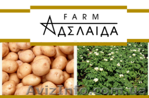 Главный инженер