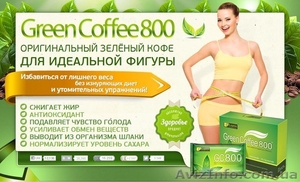 Зеленый кофе для похудения Leptin Green Coffee 800 оптом и в розницу - <ro>Изображение</ro><ru>Изображение</ru> #4, <ru>Объявление</ru> #982671