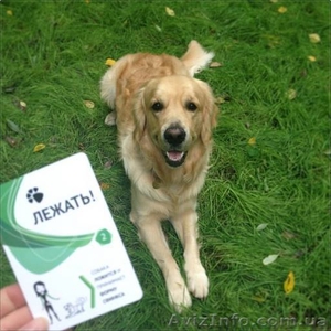 Карточки для дрессировки собак - карманный самоучитель! - <ro>Изображение</ro><ru>Изображение</ru> #4, <ru>Объявление</ru> #1013803
