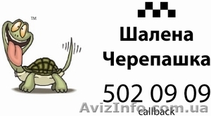 Такси "Шалена Черепашка" - <ro>Изображение</ro><ru>Изображение</ru> #1, <ru>Объявление</ru> #1019707