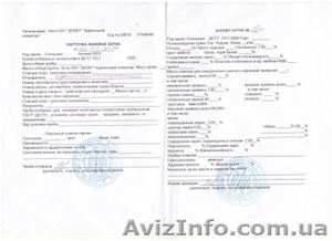 продам семечку,  подсолнечник,  подсолнух,  семена подсолнуха,  семена подсолнечника