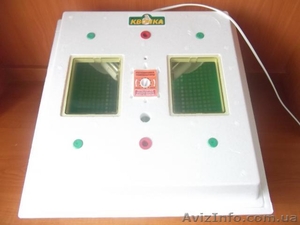 Інкубатори побутові