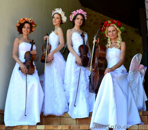 Свадебные церемонии. Музыкальное оформление торжеств - <ro>Изображение</ro><ru>Изображение</ru> #2, <ru>Объявление</ru> #1071659