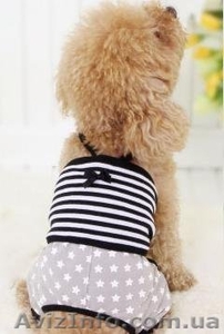 Одежда для собак марки Dobaz - <ro>Изображение</ro><ru>Изображение</ru> #1, <ru>Объявление</ru> #1068882