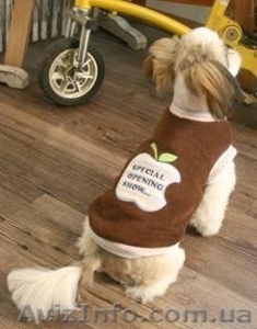 Одежда и товары для собак Dogpose - <ro>Изображение</ro><ru>Изображение</ru> #1, <ru>Объявление</ru> #1069427